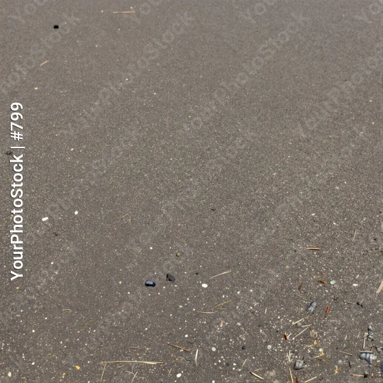 Textured Asphalt Surface with Debris wood twigs