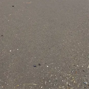 Textured Asphalt Surface with Debris wood twigs