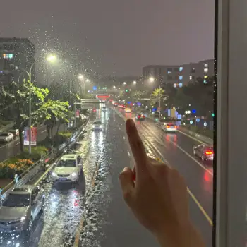 Busy Night Street View from Window rainy cars