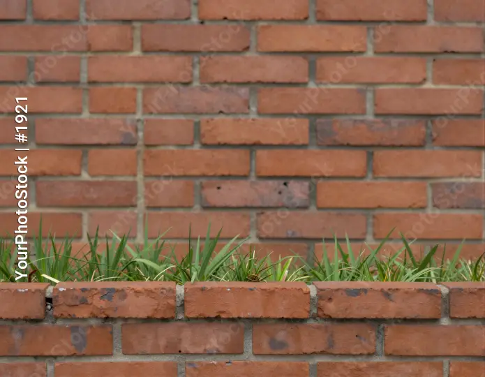 Old Red Brick Wall with Rustic Planter weathered