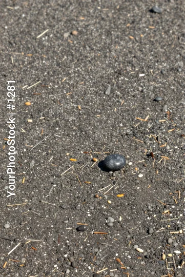 Close-up of Wet Asphalt Surface with Rock pebbles