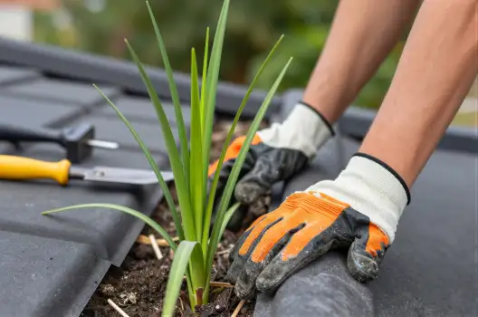 Person planting in rooftop garden gloves gardening