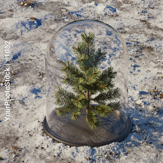 Snow-covered Pine Tree in Glass Dome concrete base