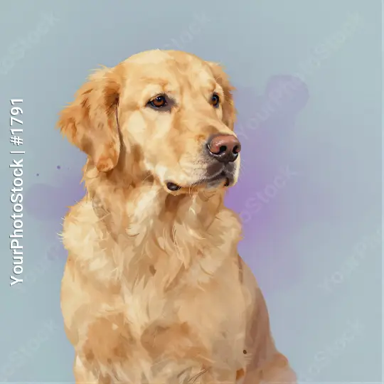 Golden Retriever Dog Sitting Relaxed dog portrait