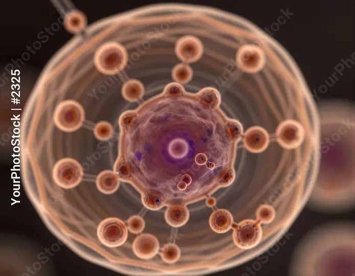 Microscopic Spherical Structure Model nanometric