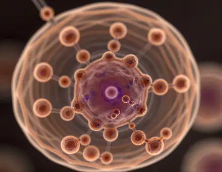 Microscopic Spherical Structure Model nanometric
