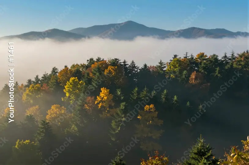 Mountain Range in Fog with Clear Sky and Autumn Trees