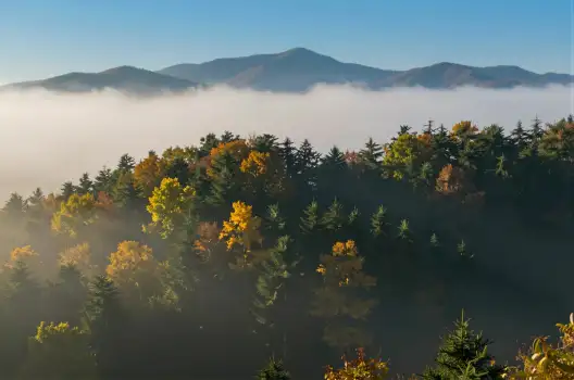 Mountain Range in Fog with Clear Sky and Autumn Trees
