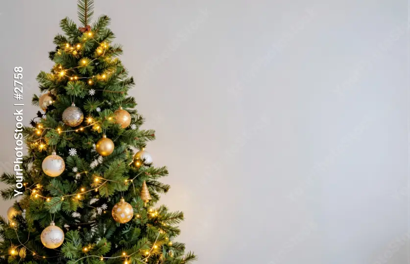Christmas Tree and Decorations