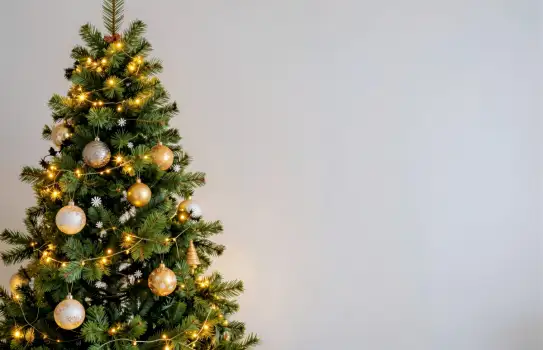 Christmas Tree and Decorations