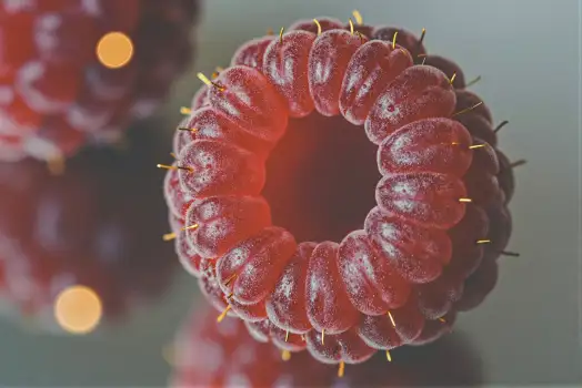 Ripe Red Raspberries in Focus fruit close-up texture