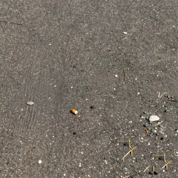 Wet Asphalt Close-Up with Debris rocks pebbles
