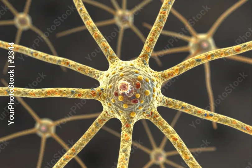 Close-up of Radial Neuron Network with Unique Shapes