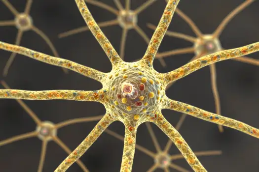Close-up of Radial Neuron Network with Unique Shapes