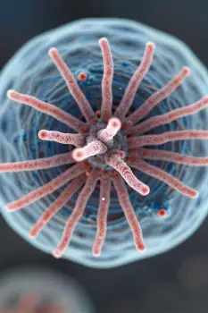 Scientific microscopic visualization of a cellular or viral structure