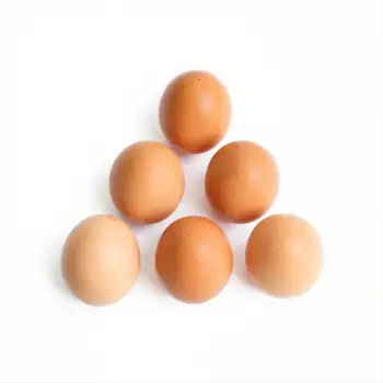6 Brown Eggs Arranged Pyramid Style arrangement