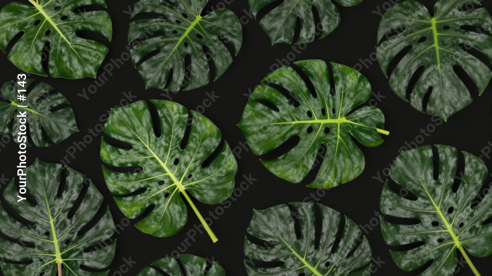 Green Monstera Leaves Pattern repeating design