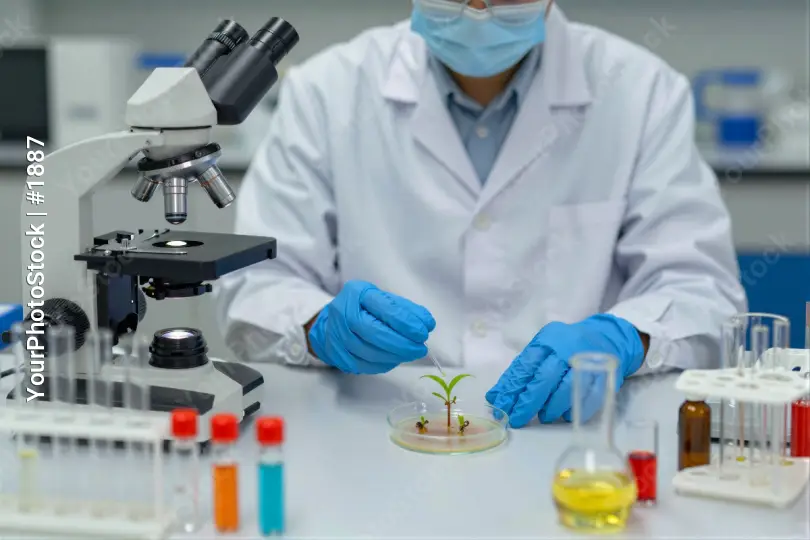 Scientist Working in Laboratory microscope lab coat