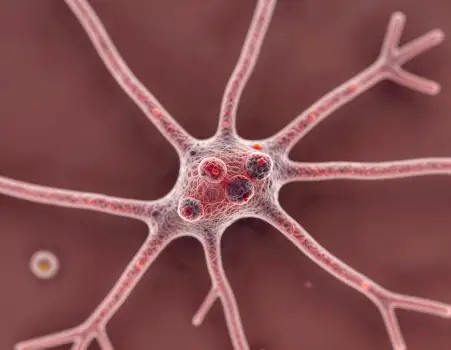 Neuron Cells Under Microscope, Pinkish-Red neurons