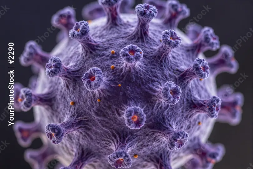 Viral Pathogen Particle 3D Model visualization