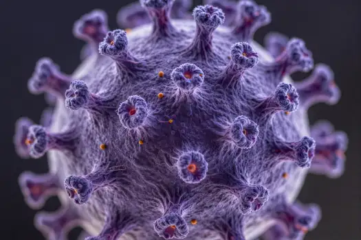Viral Pathogen Particle 3D Model visualization