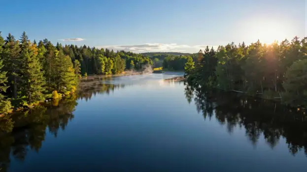 Calm Lake Surrounded by Trees Reflecting Sky landscape