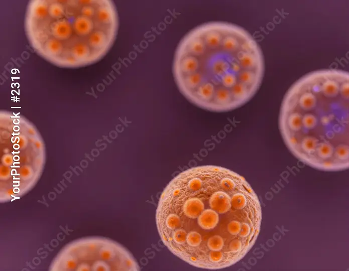 Microscopic Organisms Spherical Group microorganisms