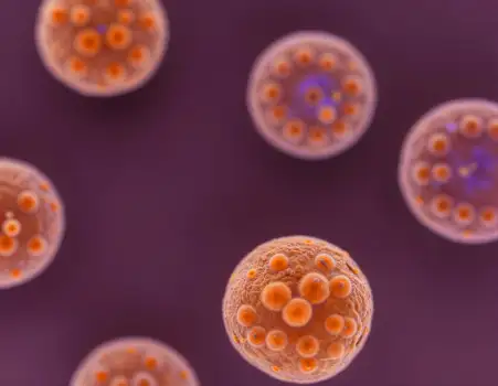Microscopic Organisms Spherical Group microorganisms