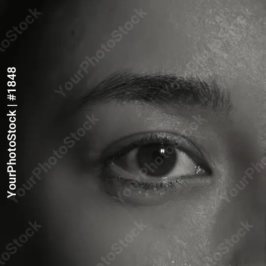 Close-up of a brown-eyed person looking directly into the camera