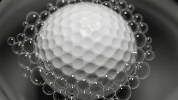 Golf Ball in Water Bowl black and white photograph