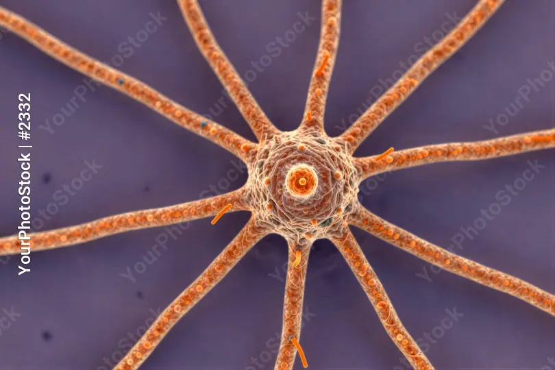 Microscopic Star Structure orange lines radial