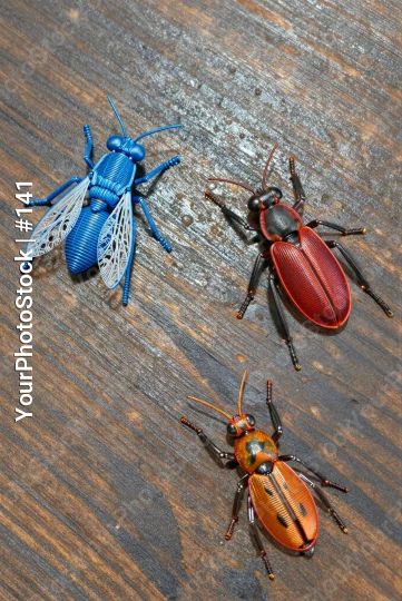 Three Beetles Battle on Weathered Wood wooden surface