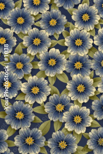 Blue Flowers with Yellow Centers on Dark Background