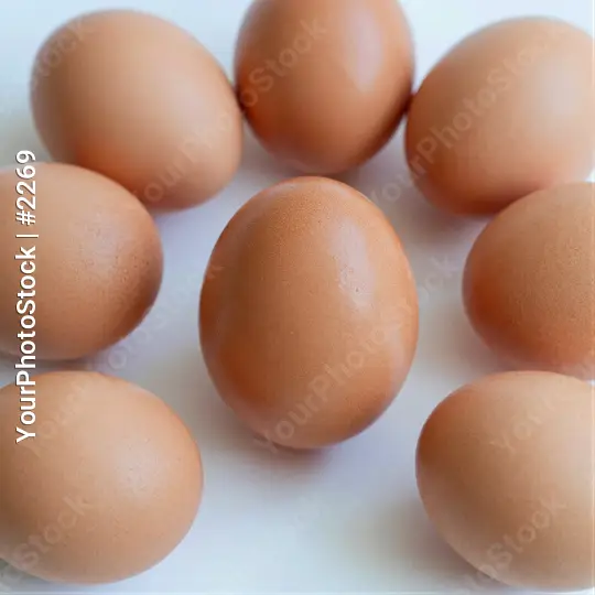Nine Brown Eggs on White Surface fresh eggs uncooked eggs