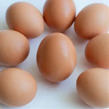 Nine Brown Eggs on White Surface fresh eggs uncooked eggs
