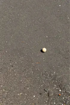 Small white ball on gray asphalt round uneven