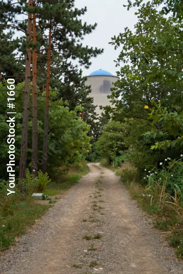 Wooded Path Through Forest Leading to Mansion