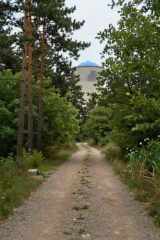 Wooded Path Through Forest Leading to Mansion