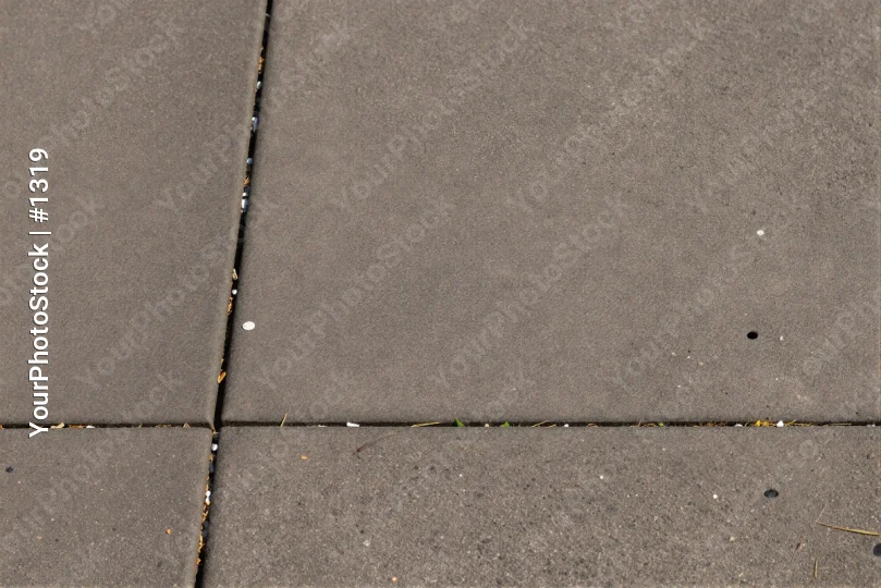 Gray Pavement with Overlapping Tiles and Dried Leaves