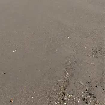 Close-up of Wet concrete asphalt with Pebbles and Rocks