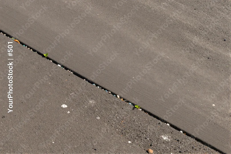 Wet Concrete Surface with Pebbles and Plant Close-Up