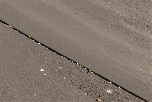 Wet Concrete Surface with Pebbles and Plant Close-Up