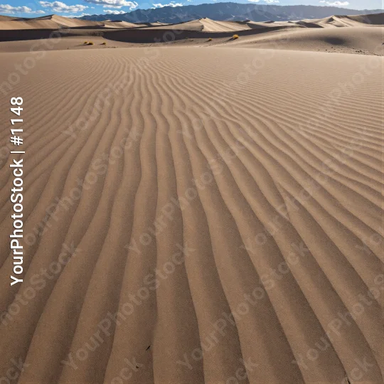Desert Landscape with Sand Dunes zigzag pattern