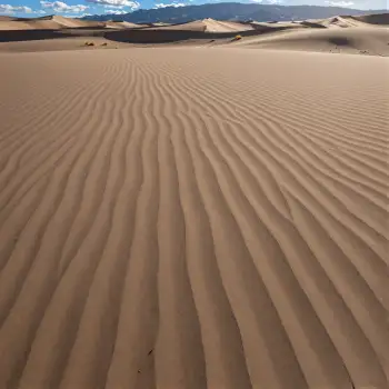 Desert Landscape with Sand Dunes zigzag pattern