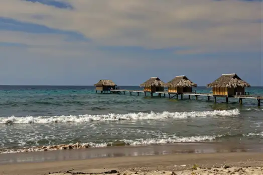 Beach with Thatched Huts and Clear Blue Water
