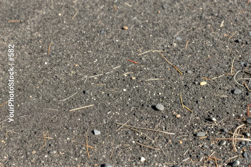 Wet Asphalt Surface with Pebbles and Grass rocks