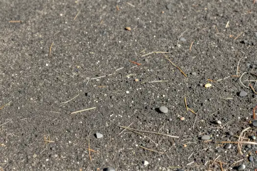 Wet Asphalt Surface with Pebbles and Grass rocks