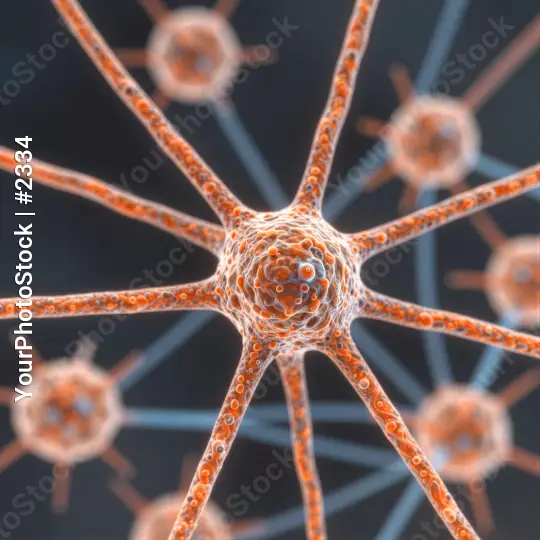 Close-up of Orange Neurons in Radial Pattern unique shapes