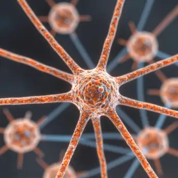 Close-up of Orange Neurons in Radial Pattern unique shapes