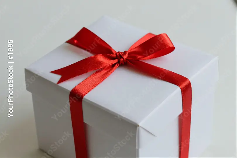 Elegant White Gift Box with Red Ribbon bow wrapped present